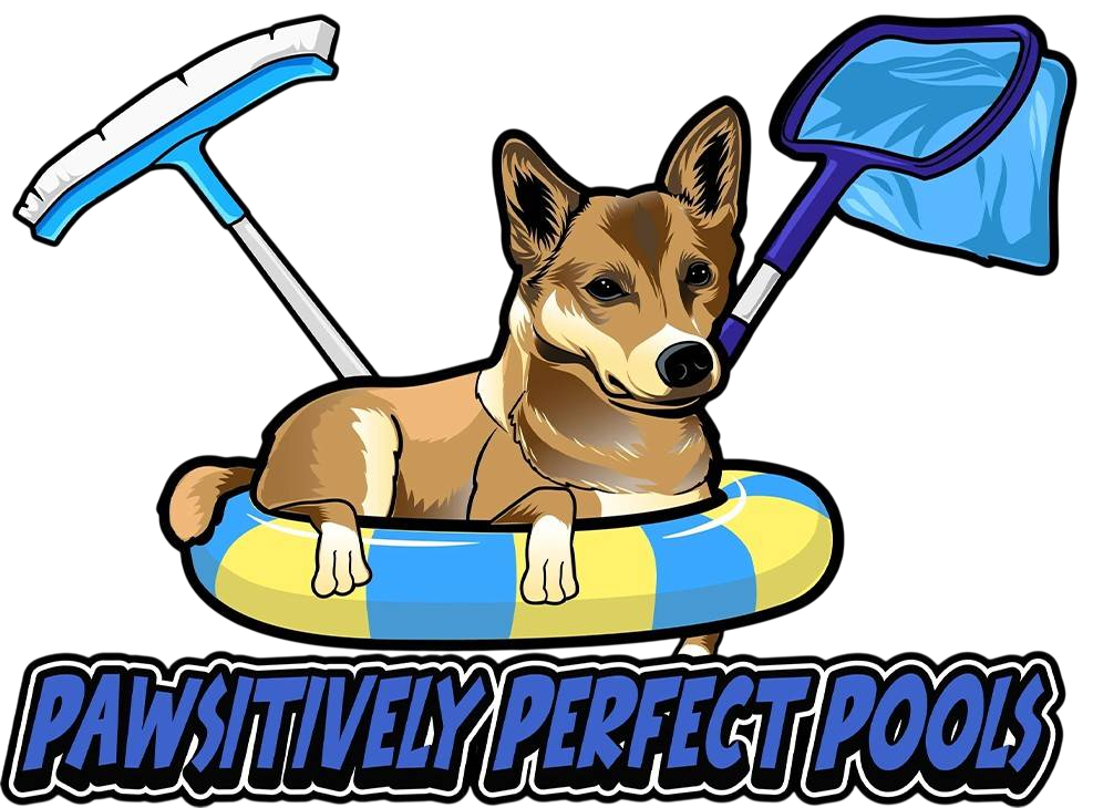 Pawsitively Perfect Pools